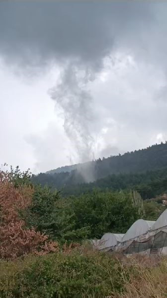 Antalya'da ormanlık alanda oluşan hortum kısa süreli paniğe yol açtı.