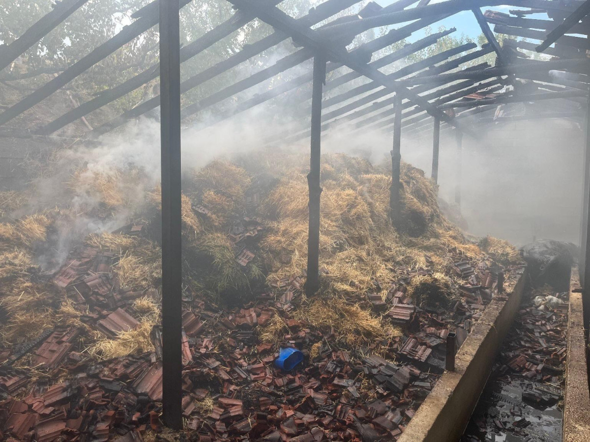 Besihanede çıkan yangında 5 kişi yaralandı, 3 hayvan telef oldu.